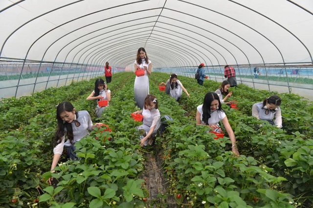 陽光明媚好踏春！內(nèi)江這些地方有花有景有美食(圖8)
