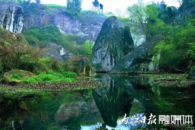 陽光明媚好踏春！內(nèi)江這些地方有花有景有美食(圖23)