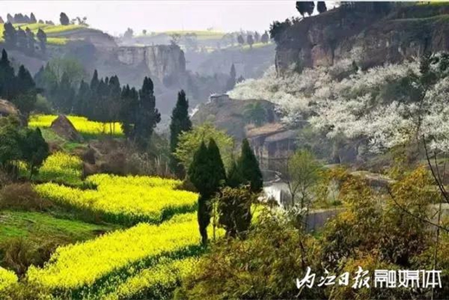 陽光明媚好踏春！內(nèi)江這些地方有花有景有美食(圖24)