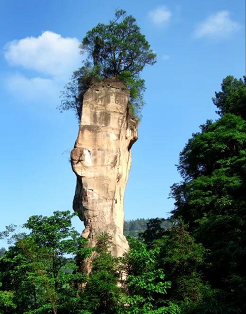 陽光明媚好踏春！內(nèi)江這些地方有花有景有美食(圖47)