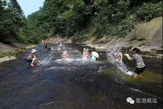 陽光明媚好踏春！內(nèi)江這些地方有花有景有美食(圖49)