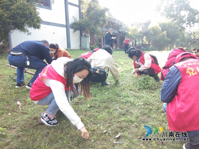 江陽區(qū)茜草街道開展義務(wù)植樹活動，為江陽生態(tài)文明建設(shè)再添一份新綠(圖2)