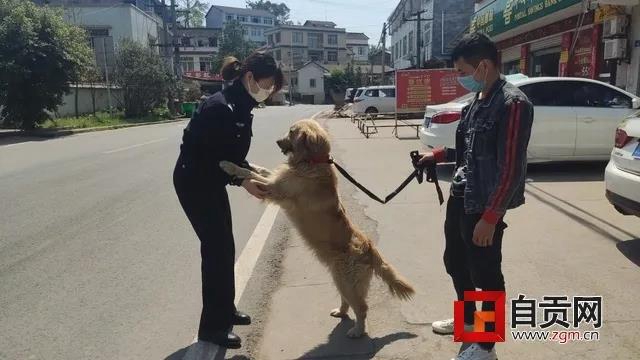 可愛的它找到新家了！但自貢牛佛派出所的民警卻哭了……(圖2)