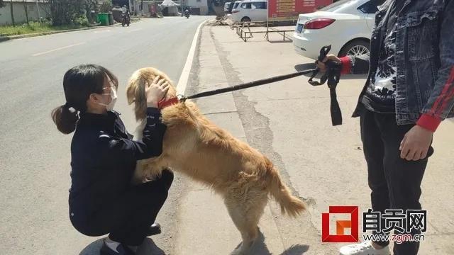 可愛的它找到新家了！但自貢牛佛派出所的民警卻哭了……(圖3)