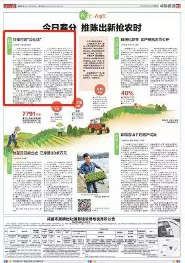 合江打響全省水稻插秧“當(dāng)頭炮” 酒城瀘州春耕搶農(nóng)時(shí)(圖2)