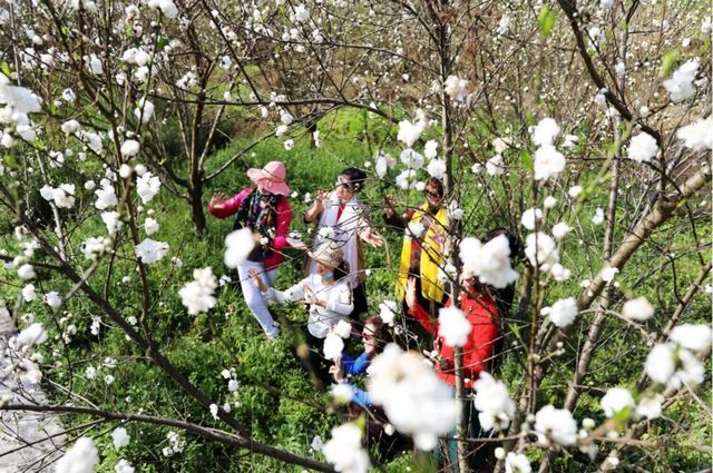 瀘州的春天，原來是這樣……(圖8)