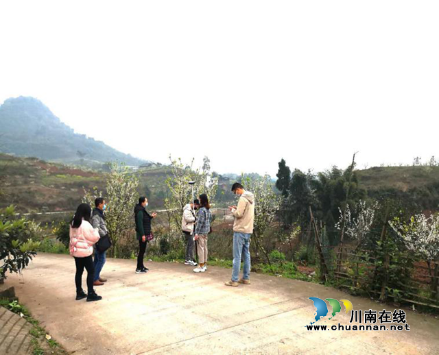 瀘州市自然資源和規(guī)劃江陽區(qū)分局：甩開膀子加油干，主動(dòng)服務(wù)全區(qū)經(jīng)濟(jì)發(fā)展(圖2)
