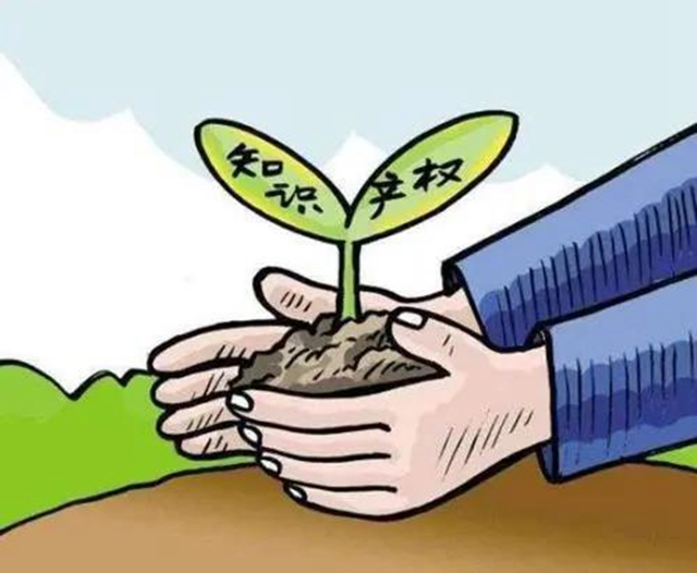 瀘州市市場監(jiān)管局“三打三建”加強(qiáng)知識產(chǎn)權(quán)保護(hù) 服務(wù)企業(yè)復(fù)工復(fù)產(chǎn)瀘州市市場監(jiān)管局：“三打三建”加強(qiáng)知識產(chǎn)權(quán)保護(hù) 服務(wù)企業(yè)復(fù)工復(fù)產(chǎn)(圖2)