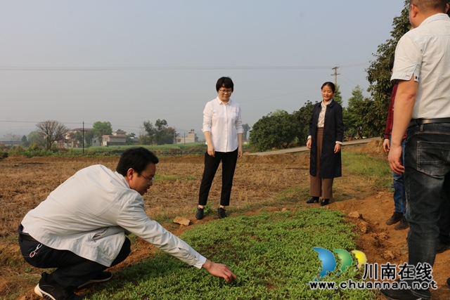 陳佳到瀘縣潮河鎮(zhèn)督導(dǎo)脫貧攻堅工作(圖3)