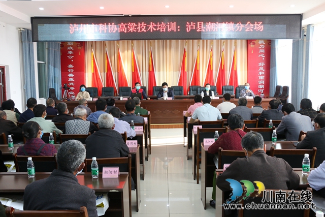 瀘州市科協(xié)到瀘縣潮河鎮(zhèn)開展高粱種植技術培訓(圖1)