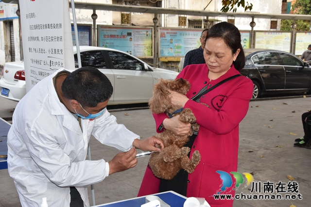 瀘縣玉蟾街道開(kāi)展狂犬疫苗免費(fèi)注射活動(dòng) (圖3)