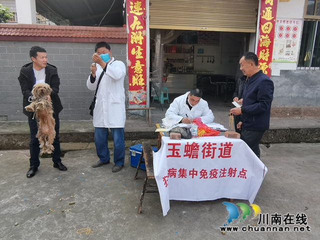 瀘縣玉蟾街道開(kāi)展狂犬疫苗免費(fèi)注射活動(dòng) (圖4)