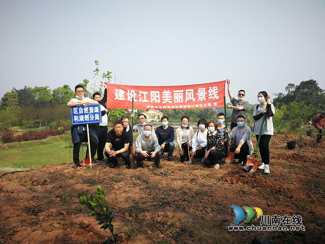 瀘州市自然資源和規(guī)劃局江陽區(qū)分局：播種一片新綠，點綴江陽家園