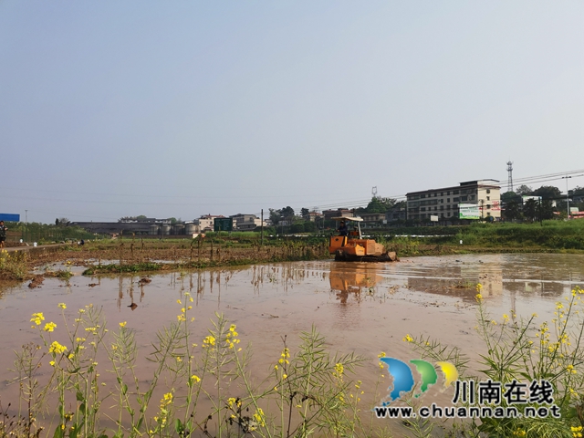 瀘縣水庫開閘放水，自流灌溉8萬畝稻田(圖2)