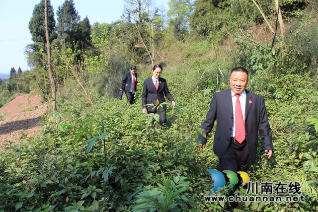 納溪法院：強化指導(dǎo) 建言獻策 積極助推鄉(xiāng)村治理法治化(圖4)
