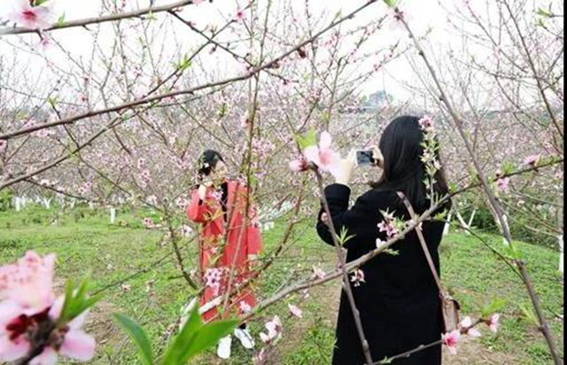 樂(lè)游龍馬潭，周末去這些地方就對(duì)了！(圖12)
