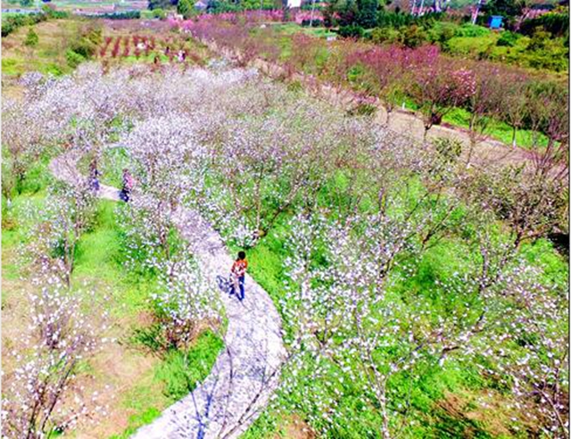 樂(lè)游龍馬潭，周末去這些地方就對(duì)了！(圖18)
