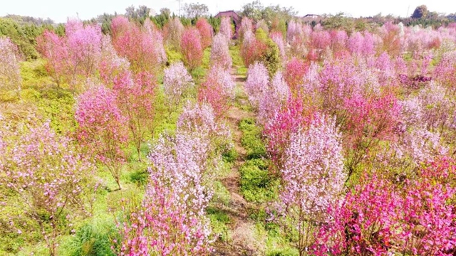 樂(lè)游龍馬潭，周末去這些地方就對(duì)了！(圖23)