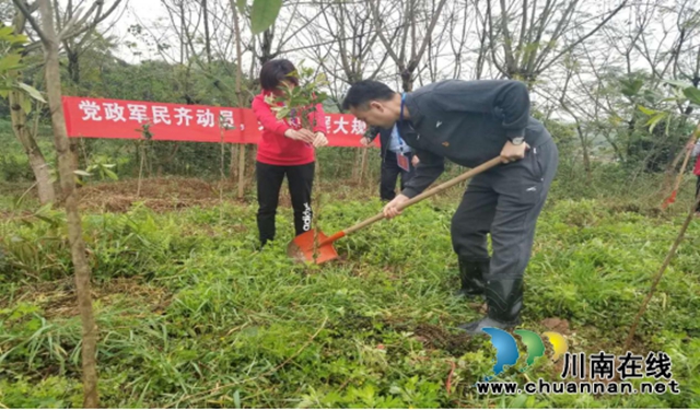 江陽區(qū)泰安街道：人大代表植樹忙