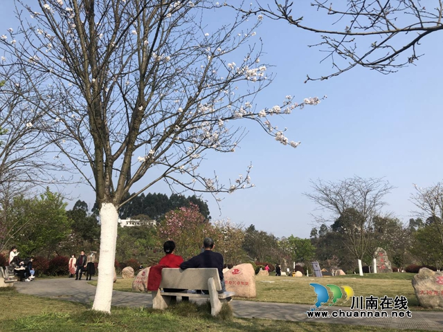 楊霞：赴一場(chǎng)春天的約會(huì)(圖3)