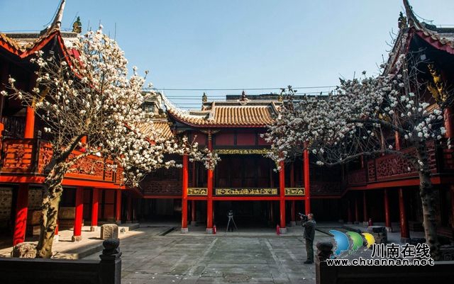 四川112家景區(qū)4月免門票了！瀘州有3處(圖3)