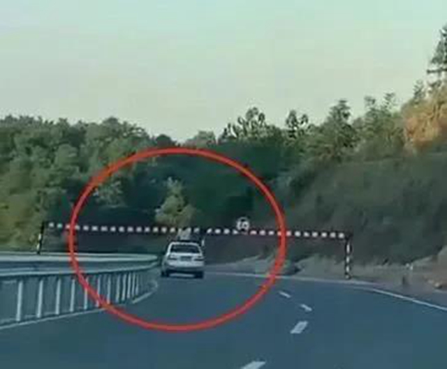 查！內(nèi)江網(wǎng)友舉報一輛奧迪車天窗“曬娃”后……(圖4)