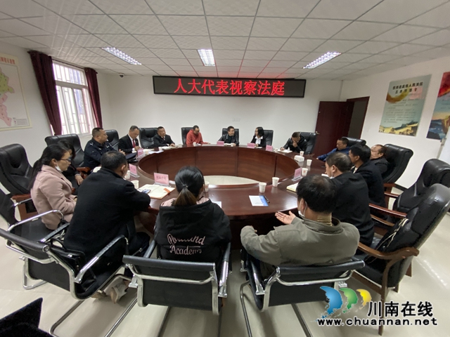 納溪法院：人大代表進法庭 訴源治理話新篇
