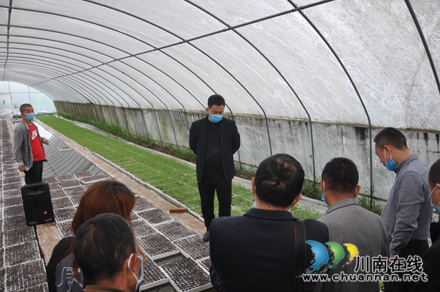 瀘縣召開2020年釀酒專用高粱生產基地與農業(yè)園區(qū)建設工作會(圖2)