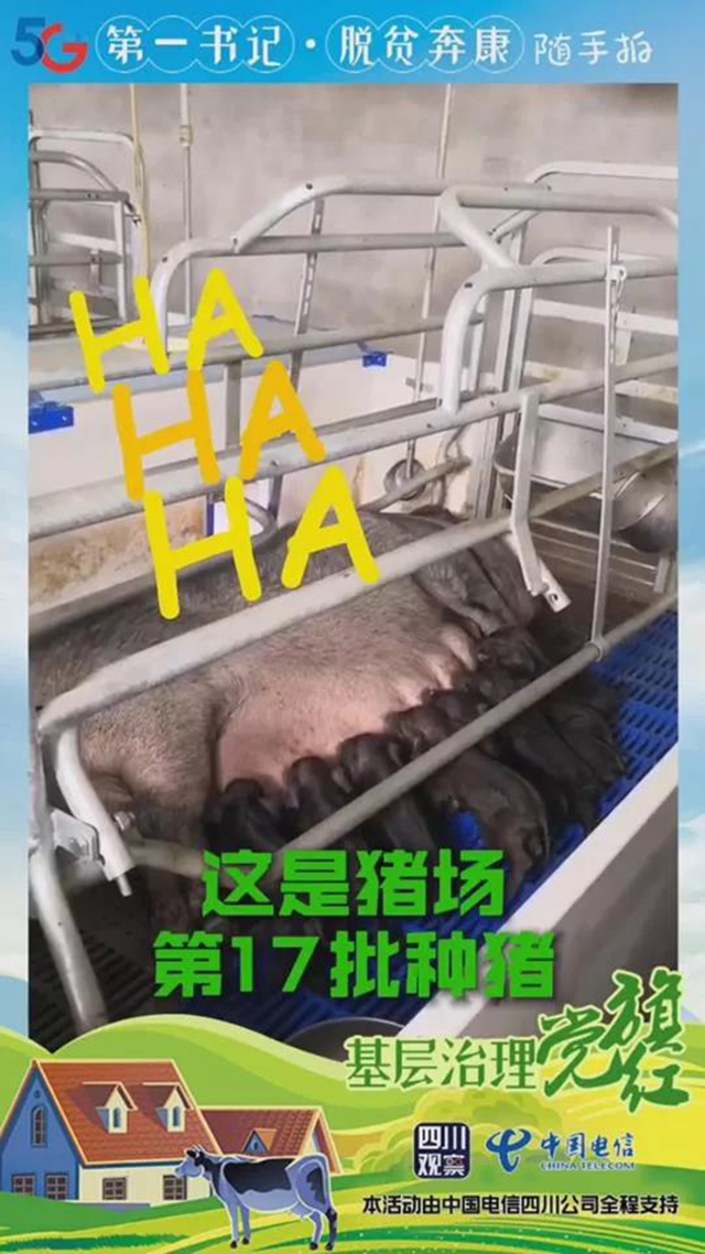 火了！內(nèi)江出了位“豬肉西施”(圖3)