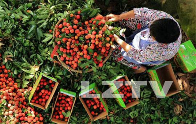 扶貧助農(nóng) 產(chǎn)品特賣……瀘州本土電商平臺(tái)正式上線(圖3)