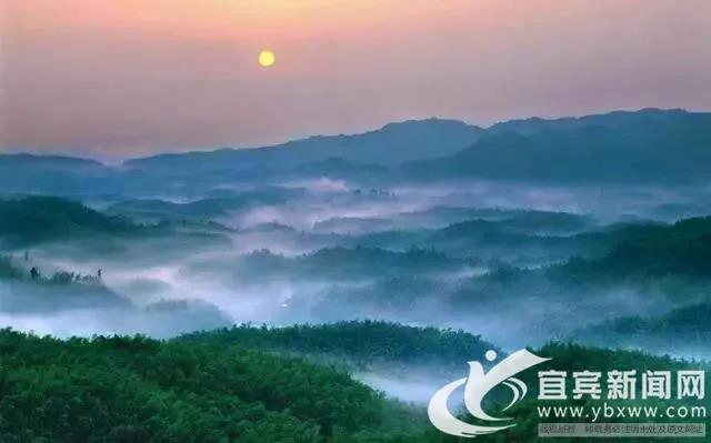 @宜賓援鄂醫(yī)療隊 您的專屬福利來了！請查收！(圖5)