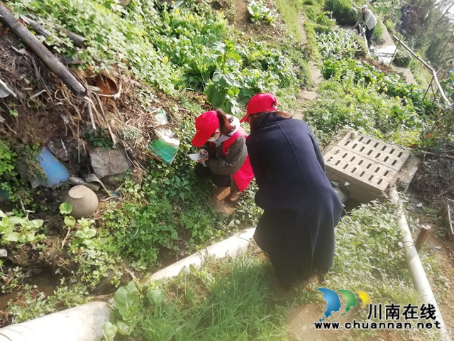 江陽區(qū)華陽街道：全力踏查毒品原植物，筑牢無毒網(wǎng)格化管理