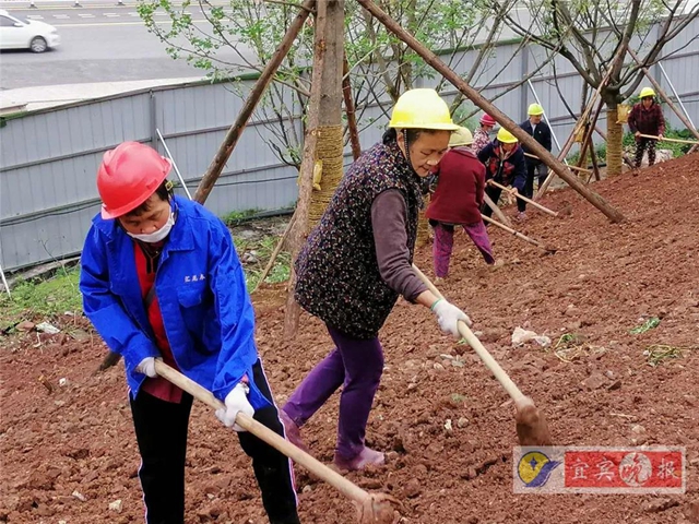 宜賓這個超大森林公園下月完工！風(fēng)景獨(dú)特功能豐富，有望成為長江封面