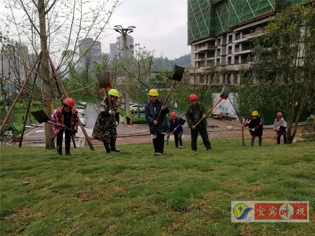 宜賓這個超大森林公園下月完工！風(fēng)景獨特功能豐富，有望成為長江封面(圖3)