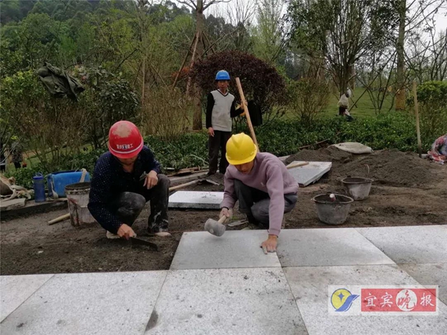 宜賓這個超大森林公園下月完工！風(fēng)景獨特功能豐富，有望成為長江封面(圖5)