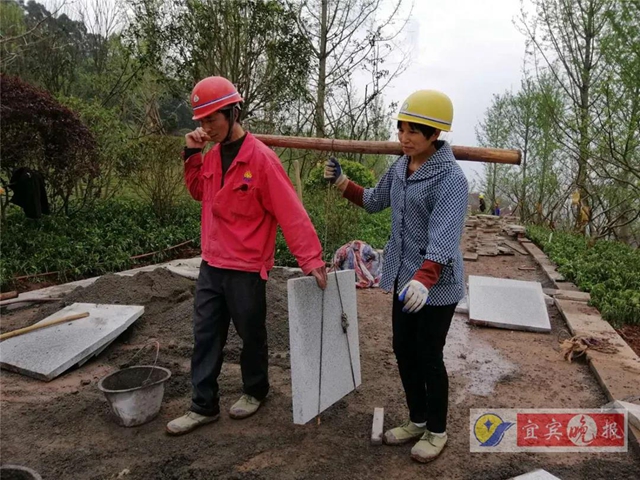 宜賓這個超大森林公園下月完工！風(fēng)景獨特功能豐富，有望成為長江封面(圖6)
