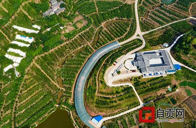 自貢首批6家市級科普基地授牌，它們可以做些啥？(圖6)