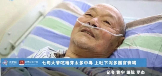 【圍觀】香椿炒雞蛋會中毒？(圖1)