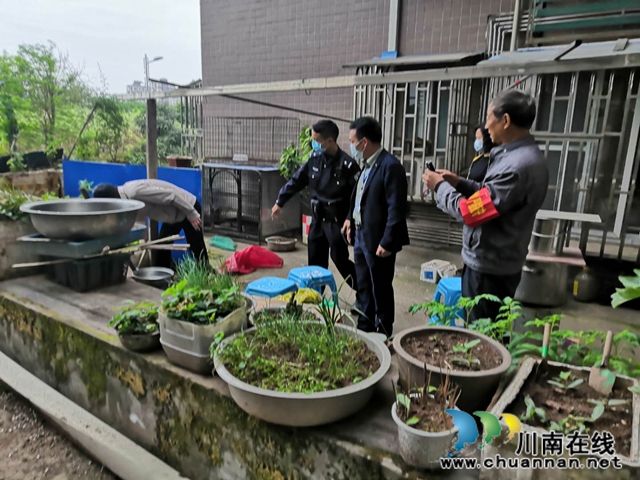 江陽區(qū)茜草街道多措并舉開展禁種鏟毒工作見成效