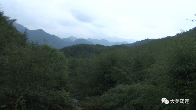 宜賓一男子返鄉(xiāng)創(chuàng)業(yè)，1年就收入近100萬(wàn)！竟賣這種東西……(圖13)