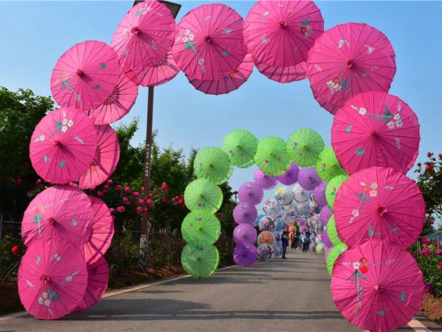 約起！內(nèi)江城邊邊的300畝玫瑰花海藏不住了(圖5)