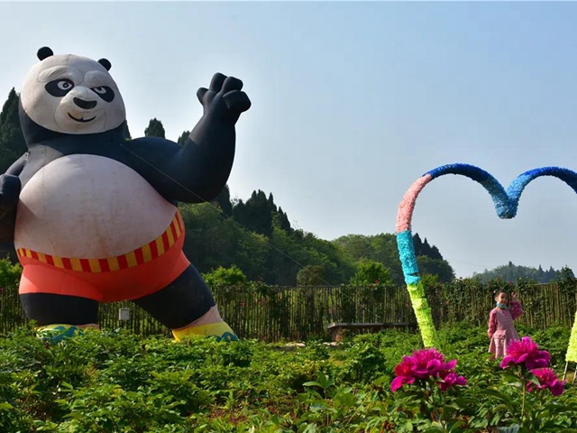 約起！內(nèi)江城邊邊的300畝玫瑰花海藏不住了(圖6)