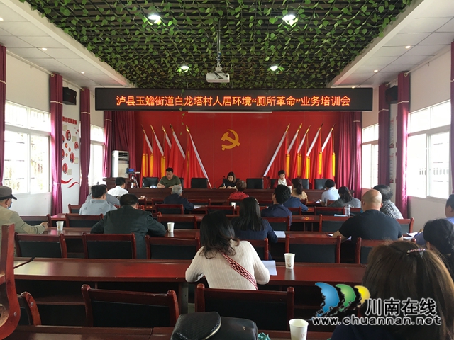 瀘縣玉蟾街道開展人居環(huán)境整治“廁所革命”推進(jìn)會(huì)
