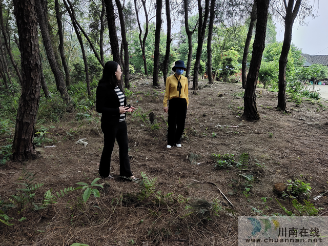 瀘縣縣委組織部到玉蟾街道考察調(diào)研集體經(jīng)濟(jì)收入情況(圖2)