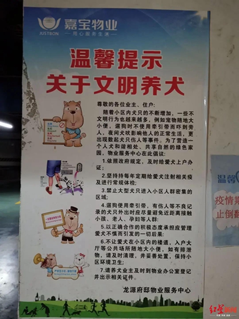 揪心！阿拉斯加犬撲倒咬傷女童臉部，宜賓警方介入調(diào)查！(圖2)