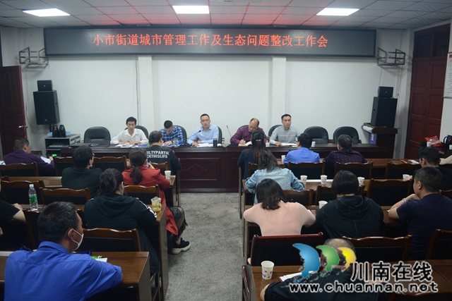 龍馬潭區(qū)小市街道全面自查自糾守護(hù)綠水青山(圖2)