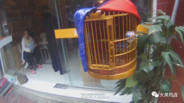 非法經(jīng)營野生動物！宜賓筠連這兩個場所遭了(圖3)