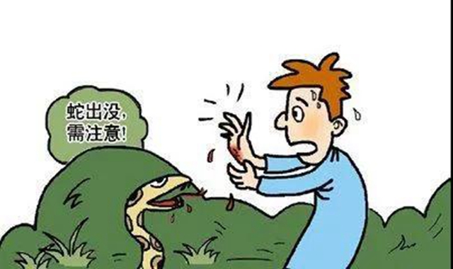 【圍觀】毒蛇造訪家中，瀘州兩男子被咬傷入院(圖8)