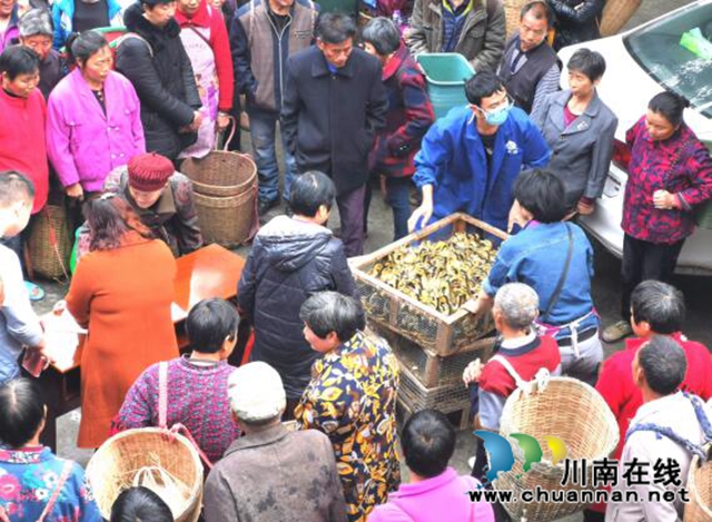 合江縣人社局貼心幫扶助推脫貧攻堅(圖3)