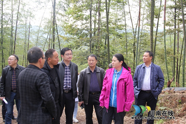 王一米調(diào)研合江縣司法局幫扶貧困村天池村(圖1)